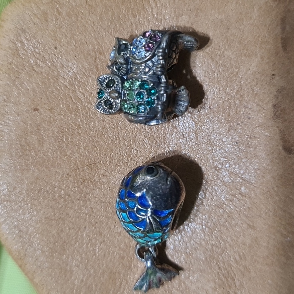 Pandora type charms